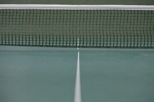 开云体育登录-英国乒乓球队力克波兰乒乓球队，樊振东关键制胜