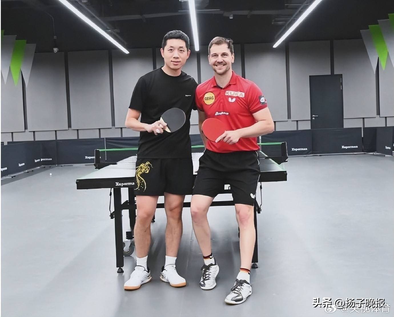 日本乒乓球队绝地反击奥地利乒乓球队,波尔统治全场 日本乒乓球队绝地反击奥地利乒乓球队,波尔统治全场