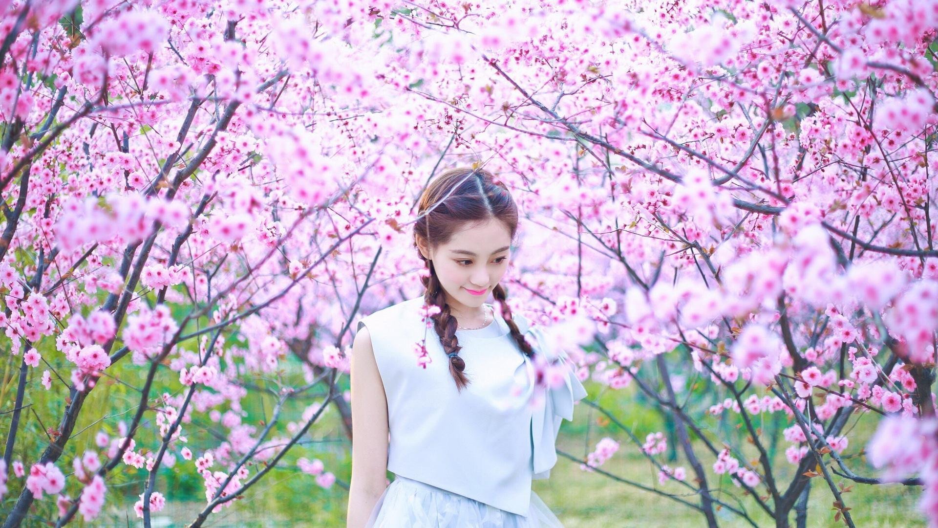 撕裂与重构，当哈利伯顿成为关键先生，灰熊的团队哲学如何击碎活塞的钢铁雄心？