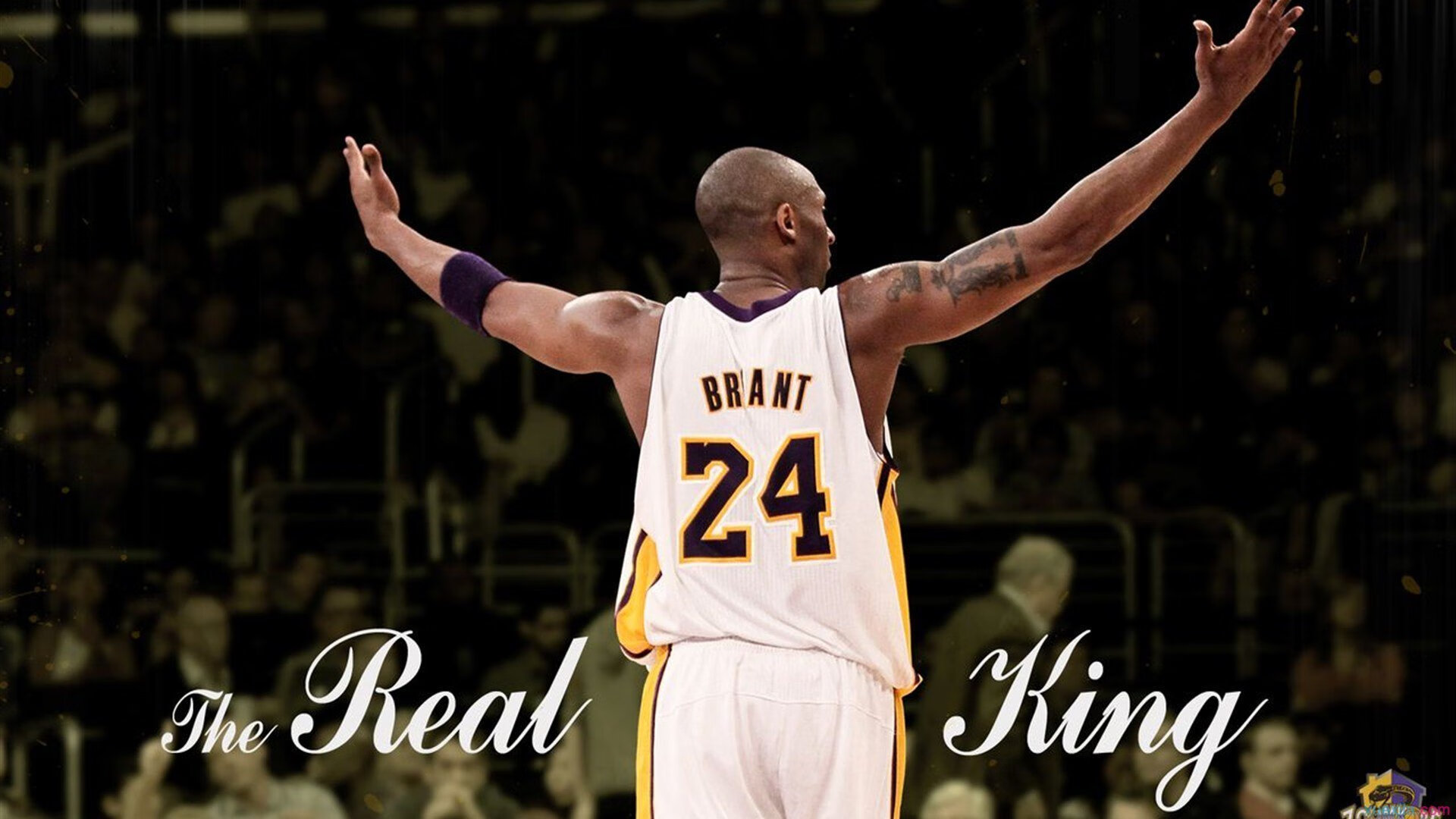 当浙江的主场哨声被太平洋的风吹散,拉梅洛和他的秩序重构者宣言